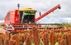 For five of the leading groups in the Argentine agro-business, shares have increased between 18.6% and 65.7%, compared to quotes on Friday 23 October.