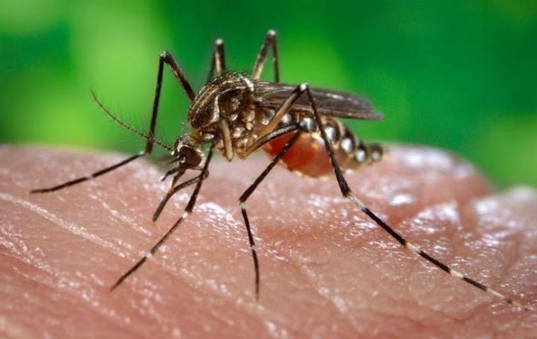  Pan American Health Organization has indicated that five cases of the Zika virus has been confirmed in Suriname. 