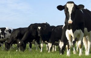 The Dairy Price Index fell 2.9% amid thin volumes, suggesting that major importers have adequate stocks. Meat prices also fell