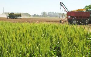 Farmers are believed to have an estimated 17m tons of soybeans, 20m tons of corn and 10m tons of wheat in stock. Macri desperately needs the export dollars