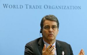 This is the “most significant outcome on agriculture” in WTO history because it ends one of the greatest distortions in the market, said WTO Roberto Azevedo