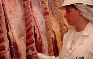 Canada opens its market to Argentine boneless fresh and frozen beef ...