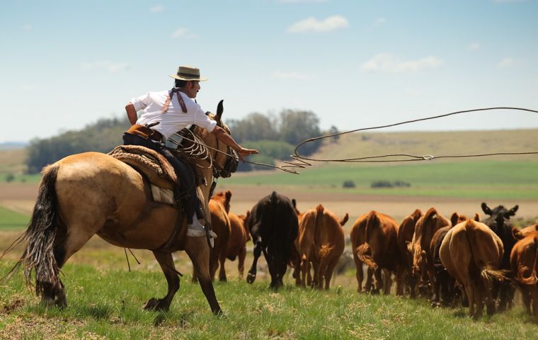 Argentine beef was banned from Canada back in 2001, following an outbreak of foot and mouth disease. 