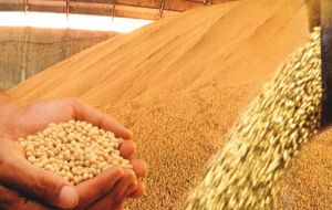  Brazil exported 54.3 million tons of soybeans; 28.9 million tons of corn; 11.9 million tons of cellulose and the 2 million tons of coffee beans last year