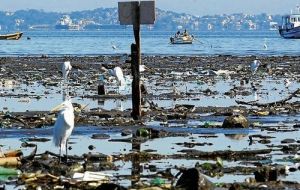 Other than floating garbage the officials saw no “visual abnormalities” in the water. They took samples and will report back in five days.