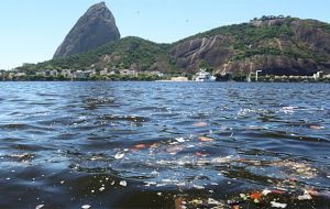 The bay could bring unwanted attention if sailors fall ill, or if floating rubbish, fouls rudders and costs someone an Olympic gold medal.