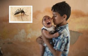 Brazil's Health Ministry said that Zika was linked to a fetal deformation known as microcephaly, in which infants are born with abnormally small heads