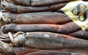 Illex squid exports to November reached 94,709 tons equivalent to US$104.25 million, with declines of 20.5% in volume and 36.3% in value, compared to 2014.