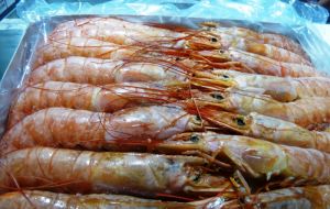 A bright spot was shrimp (Pleoticus muelleri) which maintained its upward trend with landings of 140,600.1 tons, 10.5% more than in 2014.