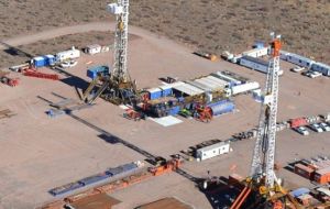YPF said 20 rigs had been put into standby by December and that the number of rigs now operating in Vaca Muerta stood at 11 from 17 last year.