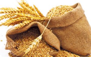 FAO issued its first forecast for world's 2016 wheat harvest, projecting 723 million tons of total production, about 10 million tons below last year's record output. 