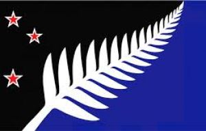 The proposed new design combines four red stars representing (Southern Cross)  - with a silver fern on a blue background with black infill in the corner
