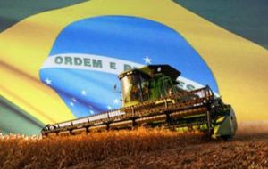  “Agriculture and auto industry protectionism in Brazil has become accustomed to the State's protection, but this protection has scared foreign investments”