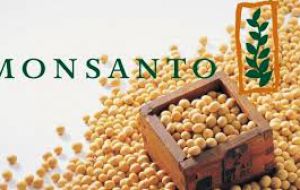 Monsanto which wants exporters to check cargoes to make sure farmers had paid to produce its genetically modified soybeans.