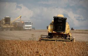 Most of the one million hectares of soy are waiting to be collected and similarly with 85% of the rice crop. Both are among the main exports of Uruguay