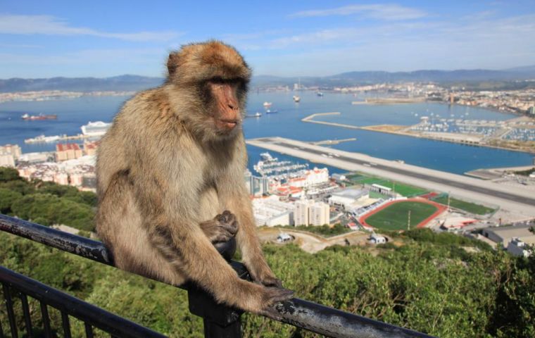 Gibraltar is featured in Episode 3 of the series to be shown on BBC4 on Tuesday 26th April at 9pm and repeated on Wednesday 27th April at 8pm (Gibraltar time).