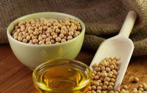 The oilseeds powerhouse is the world's top exporter of soy meal livestock feed and soy oil, used in cooking and to make bio fuels.