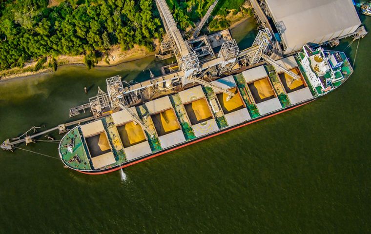 The USDA maintained its export forecast of 11.4 million metric tons, however, despite skepticism from market watchers.