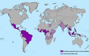 In February 2016, the World Health Organization (WHO) declared the Zika virus outbreak a global emergency.