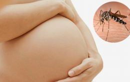 WHO advises pregnant women not to travel to areas with ongoing Zika virus transmission.
