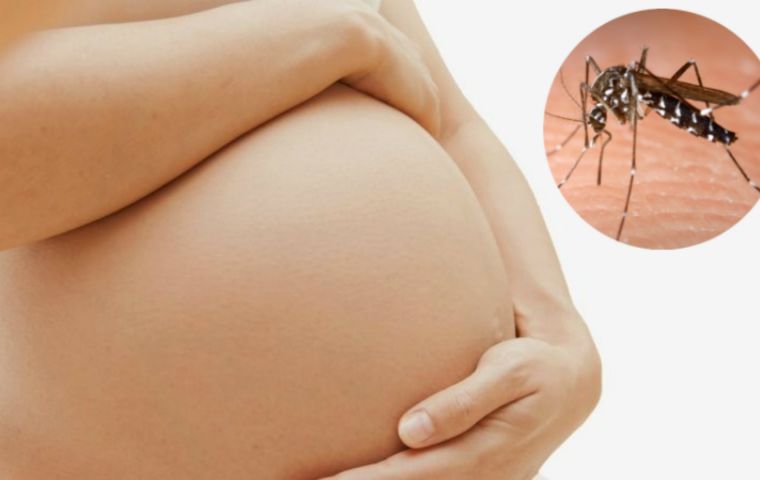 WHO advises pregnant women not to travel to areas with ongoing Zika virus transmission.