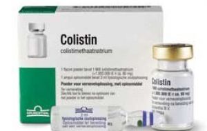 Colistin has been available since 1959 for infections caused by E. coli, Salmonella, Acinetobacter which can cause pneumonia, serious blood and wound infections. 