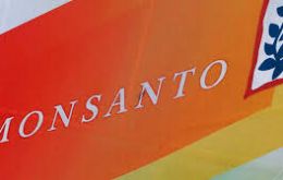 Dispute blew up after Monsanto started asking Argentine exporters to inspect soybean shipments to ensure growers had paid royalties for using company’s seeds