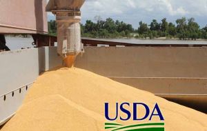 USDA trimmed its 2015/16 Brazil corn harvest outlook by 3.5mmetric tons to 77.50m metric tons and its Brazil soy harvest outlook by 2m metric tons to 97m tons