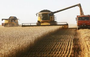 As to wheat, the minister estimates that the crop should increase 50% to 15/16 million tons, compared to the 10.5 million tons of the last harvest.