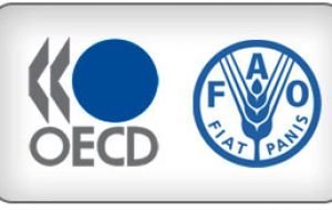 OECD-FAO projects inflation-adjusted agricultural commodity prices will remain relatively flat. But livestock prices are expected to rise relative to those for crops.