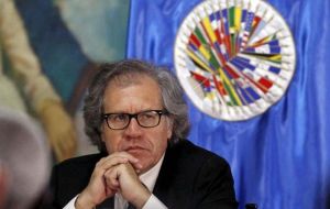 Paraguay supports the OAS Secretary General Luis Almagro initiative to apply the democratic clause to Venezuela. 