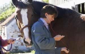 The disease has been eradicated around much of the world, and some feared exposing horses to glanders at the Olympics could exacerbate the outbreak 