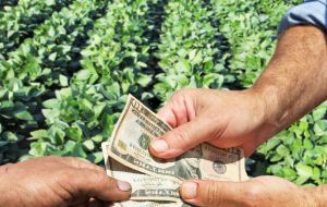 Soy farmers were banned from receiving loans from the bank, but not through a resolution, simply a verbal order and threats to management 