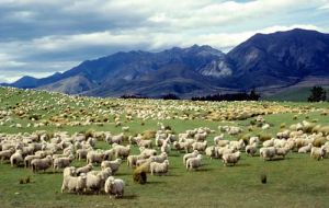 Invercargill located in the main centre of Southland region has a population of 51,696, and is the gateway to some of New Zealand's most beautiful scenery