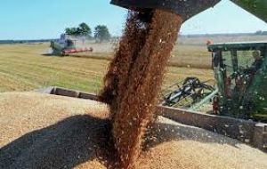 Russia is poised to become the world's largest wheat exporter in 2016/17, overtaking the European Union, where wet weather has hampered this year's crops. 