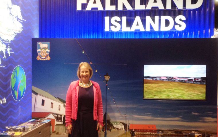 Ms Sukey Cameron MBE managing the Falklands' stall 