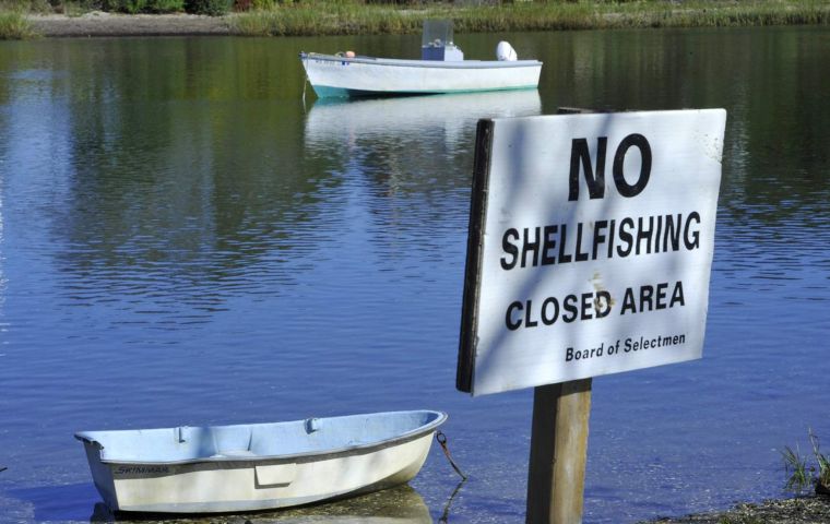 Sale of seed shellfish from Wellfleet Harbor for purposes of aquaculture or propagation is prohibited except for within Wellfleet Harbor.