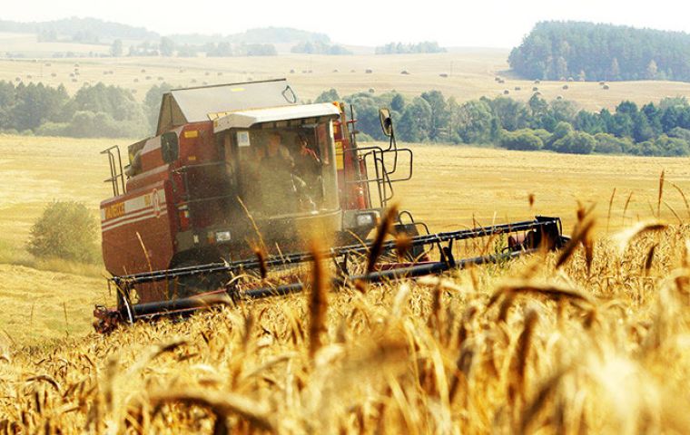 The Russian Federation's wheat output is now anticipated to set a new record, while favorable weather is also boosting yield prospects in Kazakhstan