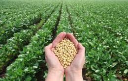 Agroconsult estimates Brazil soybean production at 102.6 MT for 2016/2017, which would  be in line with the 103.5 MMT  estimate by Brazil’s CONAB