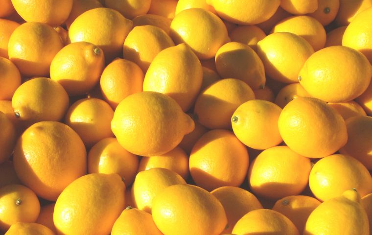 Most Argentina lemons are expected to be shipped to the U.S. between April 1 and August 31, according to the USDA. 