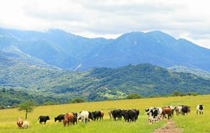 Government will propose a bill lifting a ban on foreign investors buying farmland on condition that 10% of any purchase is destined to benefit landless farmers