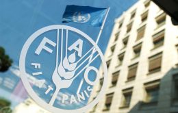 The FAO Cereal Price Index rose 3.4% from December to a six-month high, with wheat, maize and rice values all increasing.