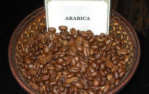 Brazil produced a record arabica coffee crop in 2016, but the robusta output fell to the lowest since 2004 after droughts in the main producing state Espirito Santo.