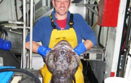 Dr Mark Belchier holds a Patagonian toothfish (Pic BAS)