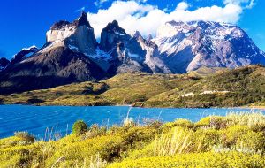 The expansion will create five brand new national parks and add acreage to other parks, creating the “Route of Parks” running North-South along Chile. 