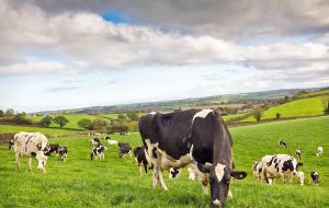 The Dairy Price Index fell 3.3% as production in the northern hemisphere entered peak season, allying short-term sourcing concern. 