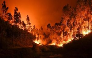 Over 140 forest fires continued to hit Portugal by Monday morning.