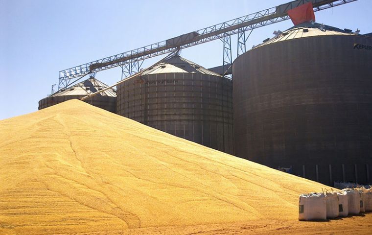 Local prices to growers are down 29% from a year earlier, so farmers are stashing soybeans anywhere they can rather than sell, which is creating a storage crunch