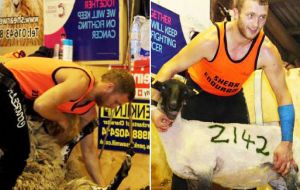 Organizers said Grant sheared 2,142 sheep and raised thousands of pounds for charity. Allowing for breaks, it translated to an average 50 sheep per hour. (Pic S.Ramsay) 