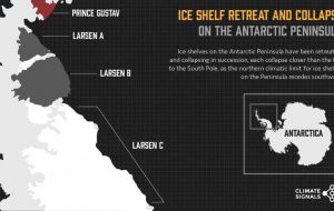 The Larsen A ice shelf collapsed in 1995 and the Larsen B shelf suddenly crumbled in 2002 after a similar rift developed.